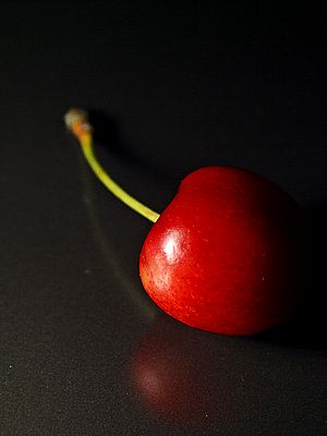 cherry.1s.lv